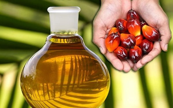 تصویر 4 از قیمت روغن هسته خرما فلاوینا + خرید باور نکردنی